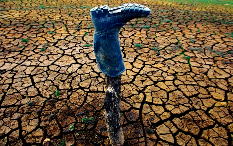 آیا کشاورزی متهم اصلی در بحران آب است؟