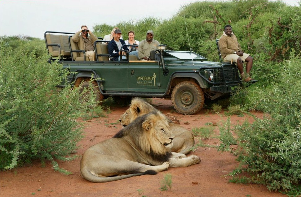 South African Safari