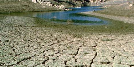 drought impact on texas wildlife 01