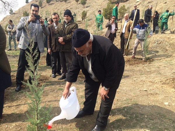 کاشت 100 هزار درخت در منطقه دو تهران