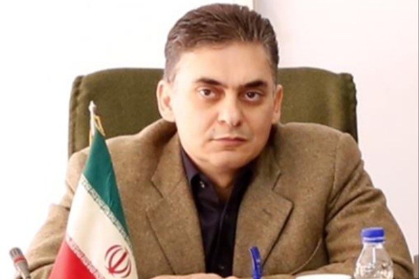 نایب رییس کنفدراسیون صادرات