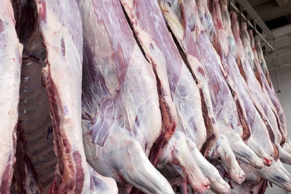 حذف ارز ترجیحی واردات گوشت چه تاثیری بر قیمت گوشت دارد؟