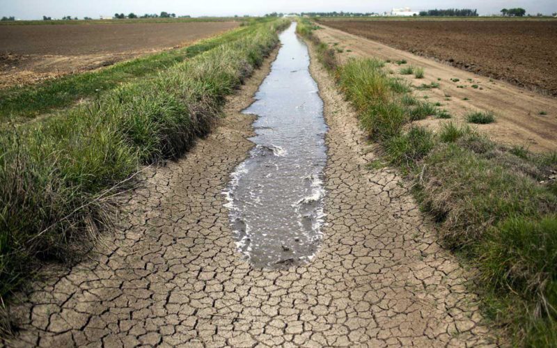 آیا کشاورزی متهم اصلی در بحران آب است؟ - تجارت‌نیوز