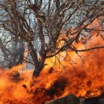آتش سوزی ۴۵ هکتاری در اراضی جنگلی گیلان