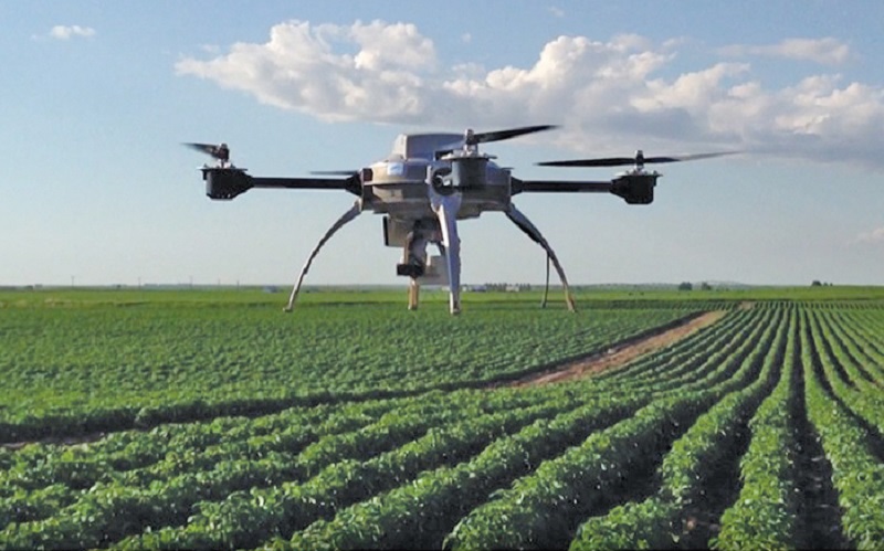 drone crops