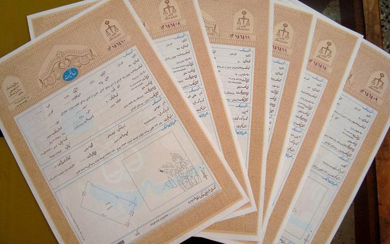 سند تک برگی