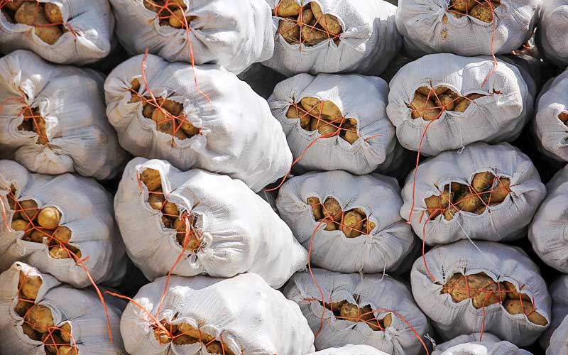 بلاتکلیفی 1100 کامیون سیب‌زمینی در مرز ایران و عراق