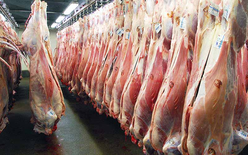 افزایش قیمت گوشت ارتباطی به قاچاق دام زنده ندارد