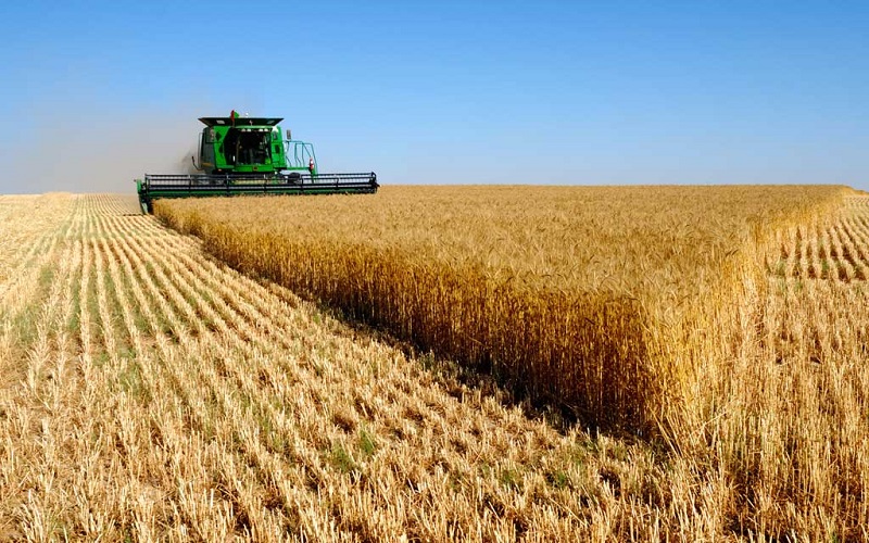 تورم کشاورزی در بهار: 4.7 درصد