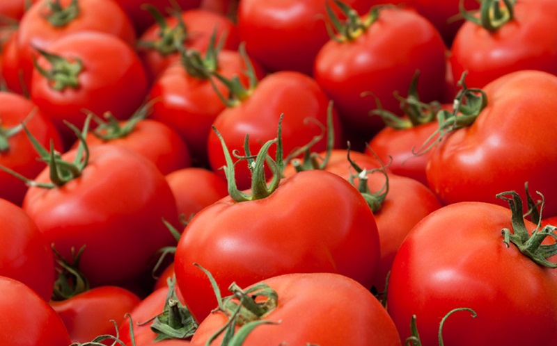 روسیه ممنوعیت واردات گوجه فرنگی ترکیه را لغو کرد