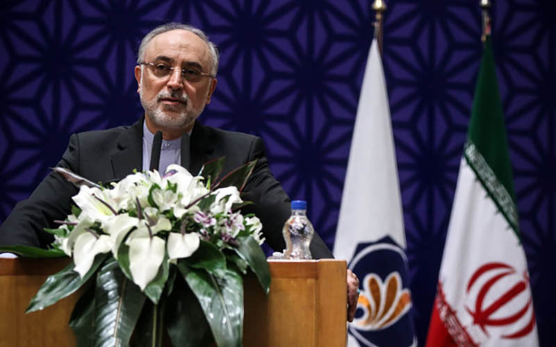 صالحی با رئیس آژانس بین‌المللی انرژی اتمی دیدار کرد