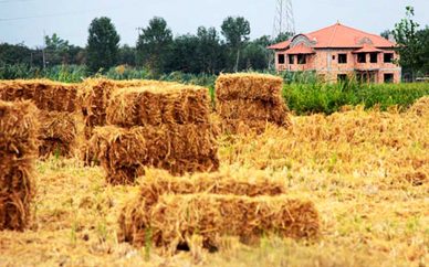 توزیع بیش از ۱۰۵ میلیون لیتر سوخت در بخش کشاورزی چگونه از صحت زمین و ویلاهای تبلیغاتی مطلع شویم؟