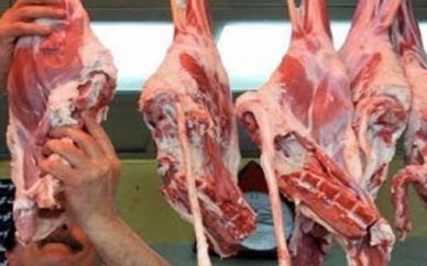 گوشت گوسفند ارزان در راه بازار گوشت گوسفند ارزان در راه بازار