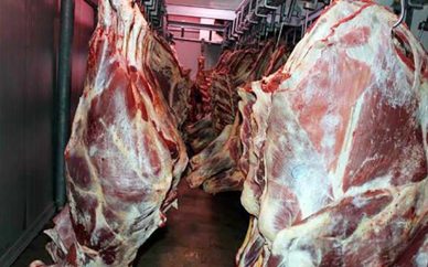 ثبات نسبی در بازار گوشت واردات ۵۰ درصد گوشت گرم از استرالیا