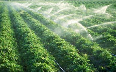 طرح آبیاری تحت فشار در ۸۰۰۰ هکتار از زمینهای کشاورزی میزان مصرف آب در بخش کشاورزی نهایتا ۷۰ درصد است