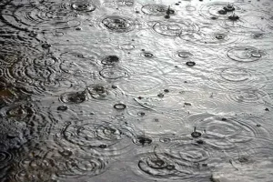 شمال ایران از چهارشنبه بارانی می‌شود