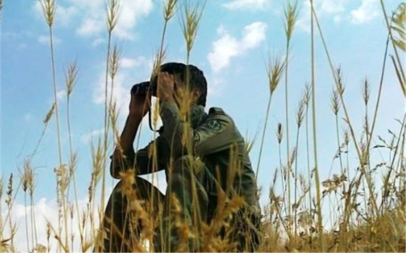 از چالش محیط‌بانان در محاکم قضایی تا حق درجه‌ای که داده نمی‌شود