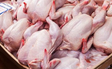 مرغ روی نرخ تعیینشده میچرخد مرغ روی نرخ تعیینشده میچرخد
