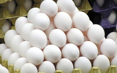 تخممرغهای تنظیم بازاری شکسته، پس گرفته میشود