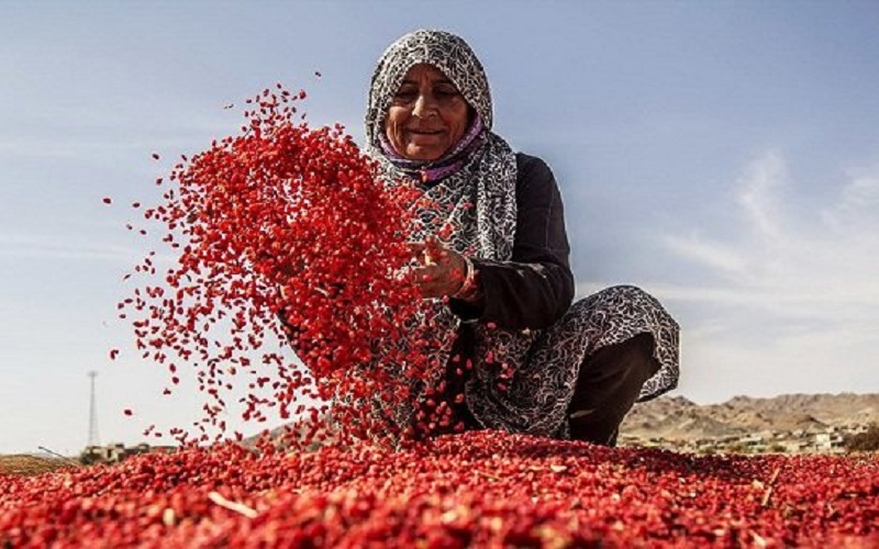 مشاغل خانگی+تجارت نیوز