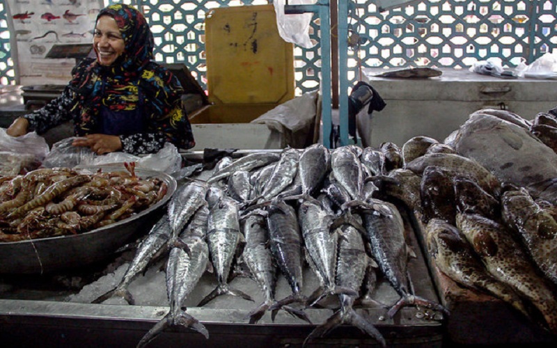 صادرات ماهی تازه ممنوع است / قاچاق گسترده ماهی به دبی