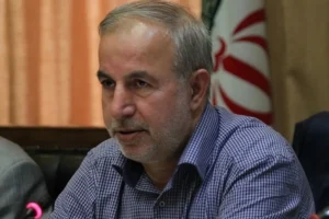 کوچکی‌نژاد: دولت باید بخشی از خدمات خود را واگذار کند
