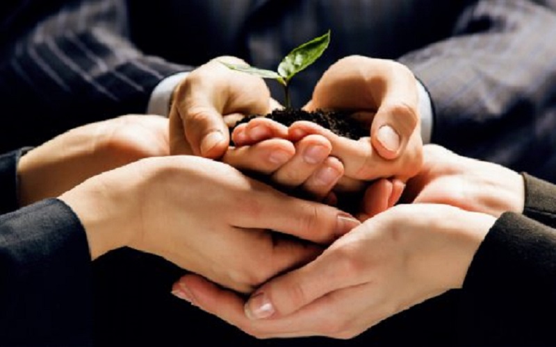 رویش جمعی