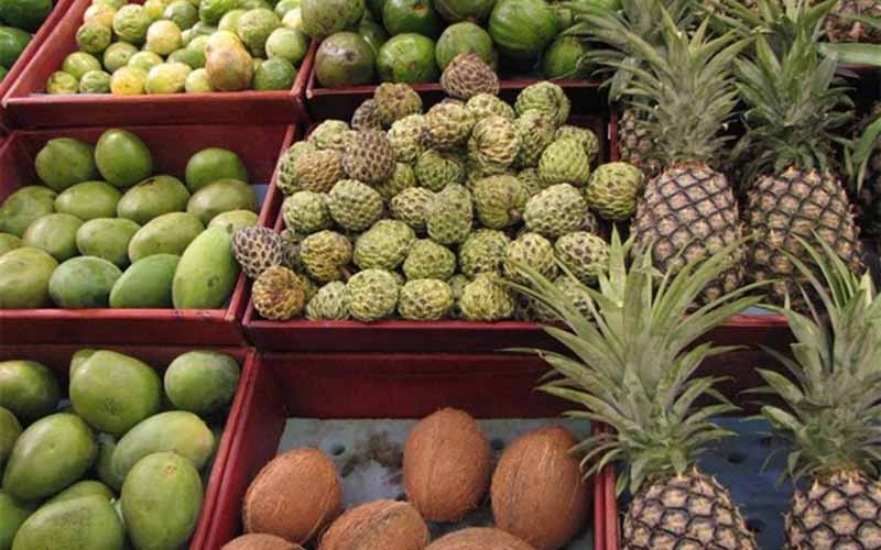 کشف میوه‌های قاچاق در میدان تره‌بار تهران