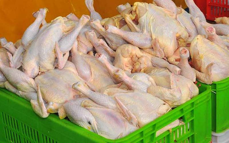 کاهش قیمت مرغ ادامه می‌یابد