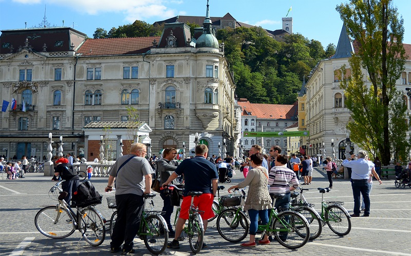 Ljubljansko kolo Ogled