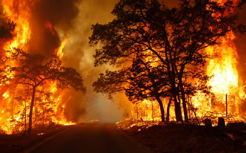 Oregon daily indpendent wildfire