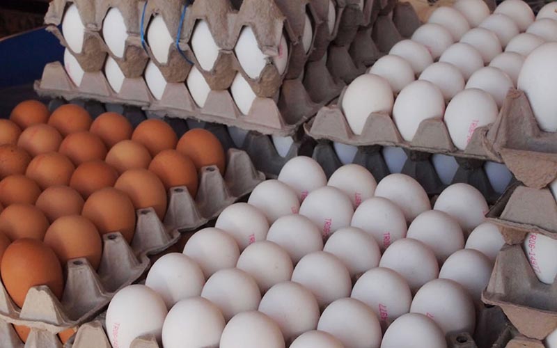 افزایش ۳۰۰ تومانی قیمت تخم‌مرغ در بازار
