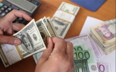 اختصاص یارانه ارزی برای واردات کالاهای اساسی