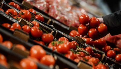 از سرگیری صادرات گوجه‌فرنگی ترکیه به روسیه