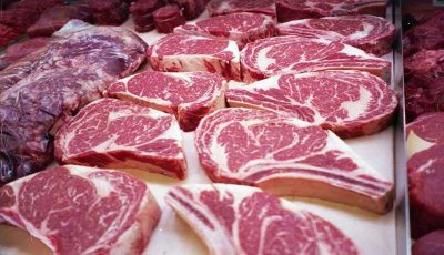 واردات روزانه 160 تن گوشت گرم به کشور