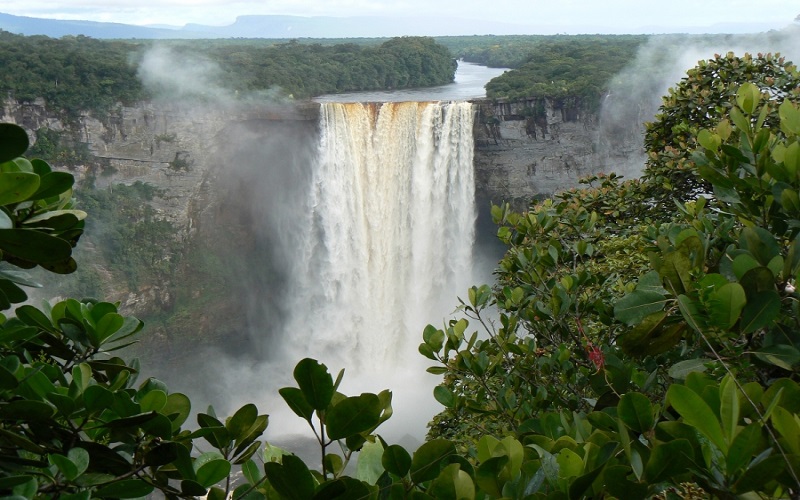 wildernessexplorers kaieteur guyana 103