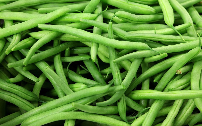 بذر لوبیا سبز Green beans گلس گاردن 5