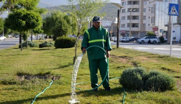 آبیاری فضای سبز در طول روز ممنوع شد