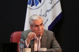وزیر پیشنهادی اقتصاد شهامت پرداختن به بحث های سیاسی را داشته باشد