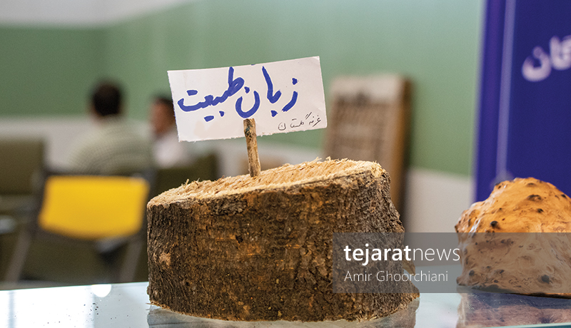 بوم گردی 3