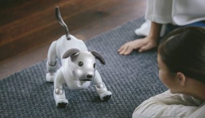 سگ رباتیک رقیب سگ‌های واقعی شد