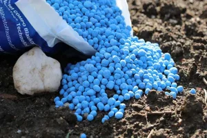 افزایش قیمت مواد اولیه کود شیمیایی توسط شرکت‌های دولتی