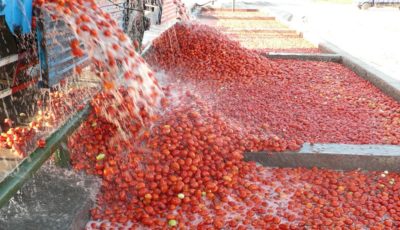 قیمت رب گوجه در بازار چند است؟/آیا کمبودی در این بازار وجود دارد؟