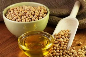 دانه های روغنی در حادثه بندر شهید رجایی آسیبی ندیدند