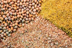کاهش هزینه خوراک دام با بازیافت ضایعات غذایی
