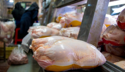 قیمت مرغ یک‌ماهه 17 درصد گران شد / تورم سالانه مرغ به 63 درصد رسید