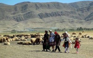 ۵٫۱ میلیون روستایی رایگان بیمه می‌شوند