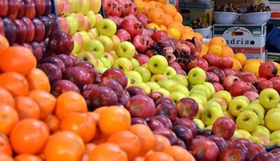 میوه از ایران قاچاق نمی‌شود / ارزانی گردو در افغانستان!