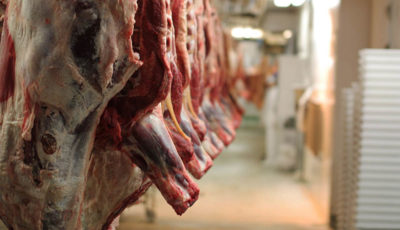 چرا واردات گوشت و کره کاهش یافته است؟