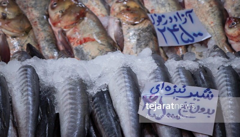 بازار ماهی امام حسین